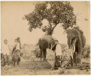 Anonyme Siam Thaïlande