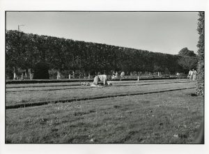 Raymond Depardon