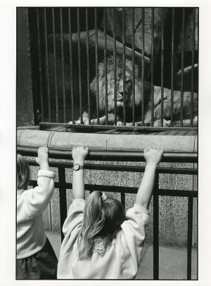 Raymond Depardon